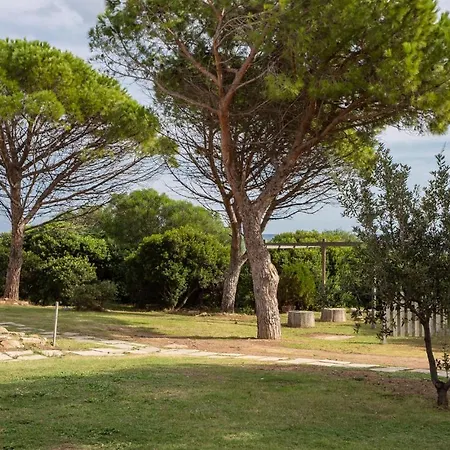 Apartment Trilo 6